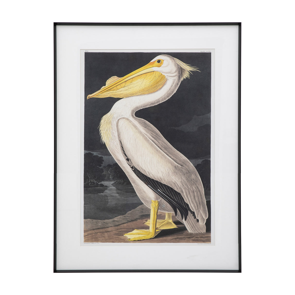 Pellicano Framed Bird Art – White