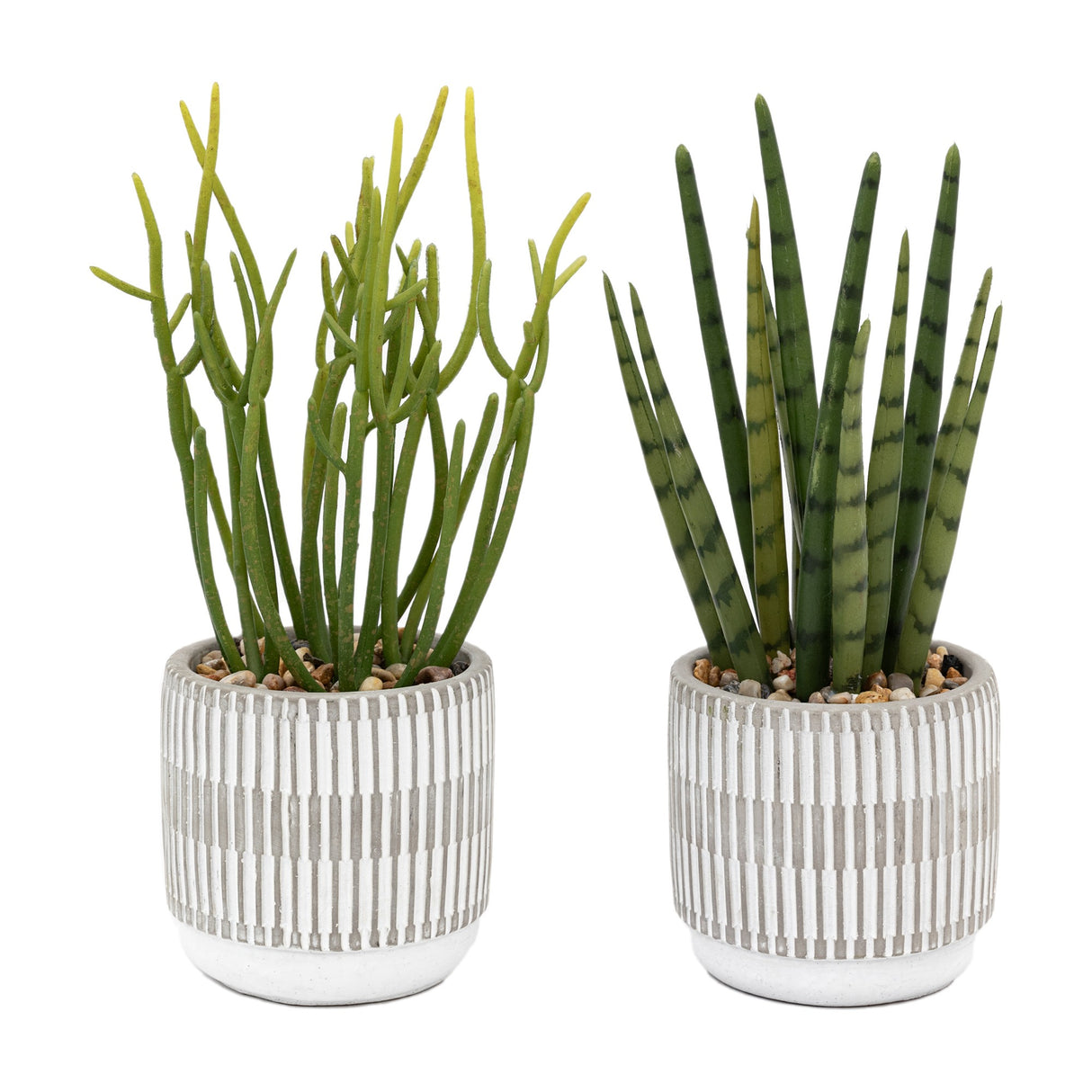 Artificial Succulents in Patterned Pots Set of 3 – Green