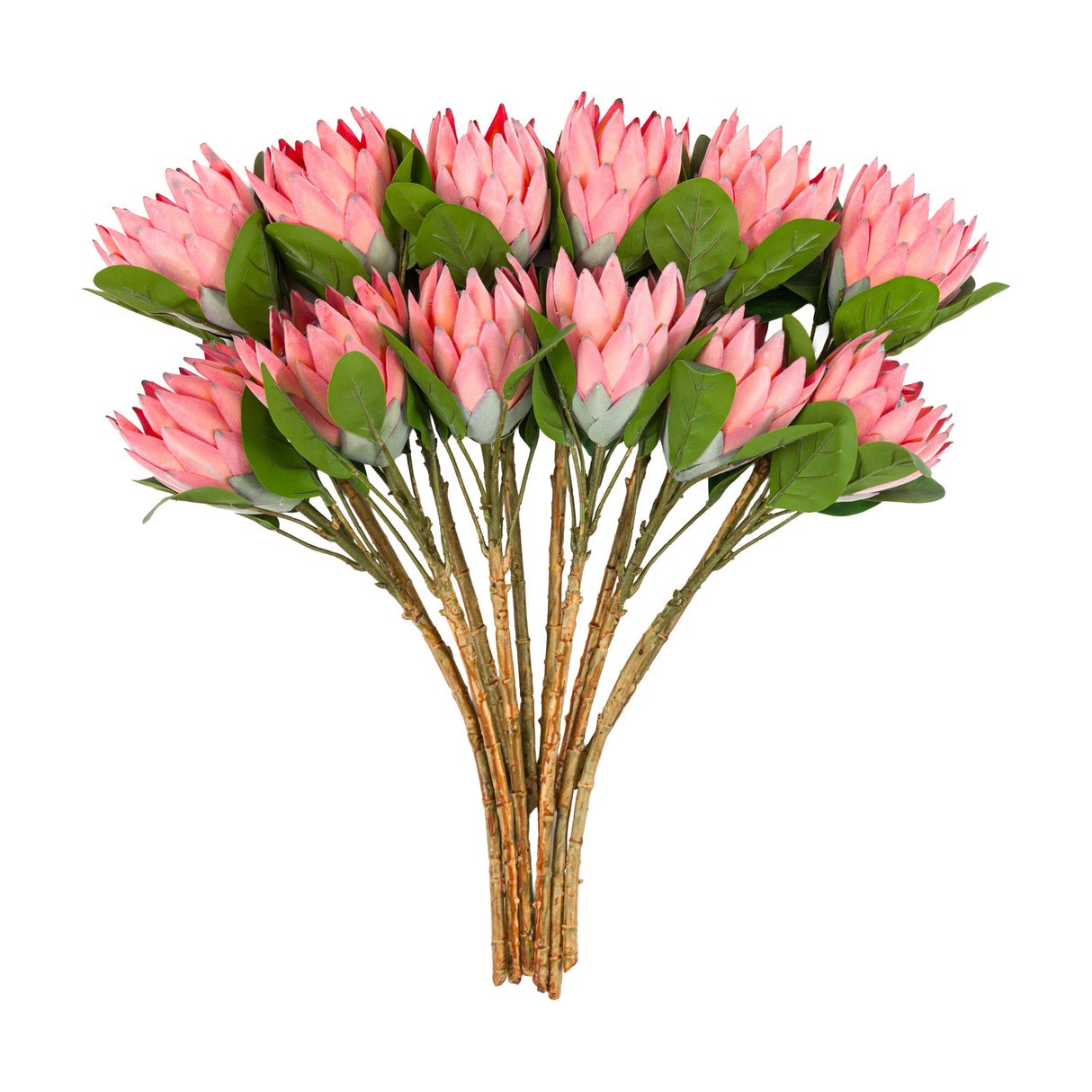 Artificial Protea Bunch Faux Stems Set of 12