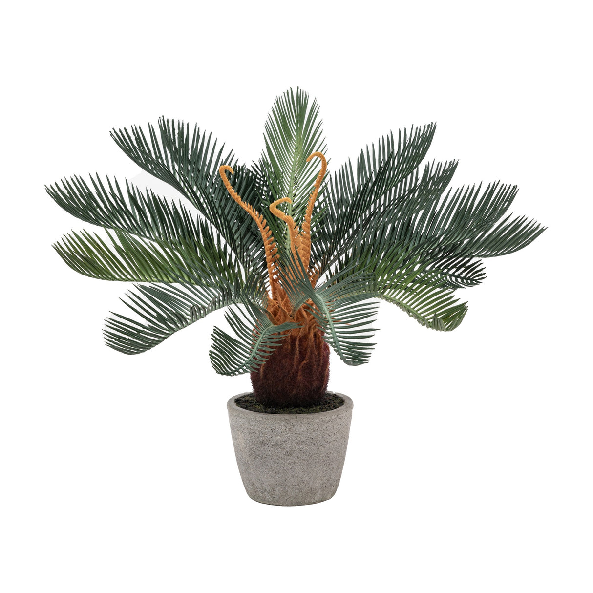 Artificial Wide Palm in Concrete Pot – Green