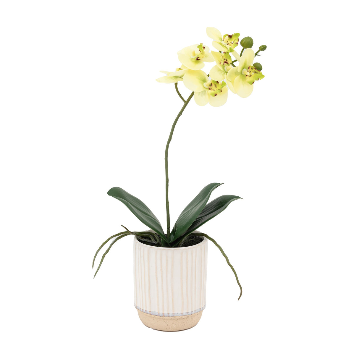 Artificial Orchid in Ribbed Ceramic Pot – Yellow