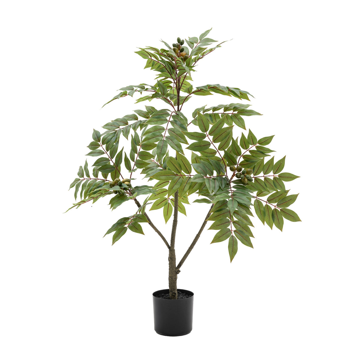 Artificial Chinese White Olive Tree