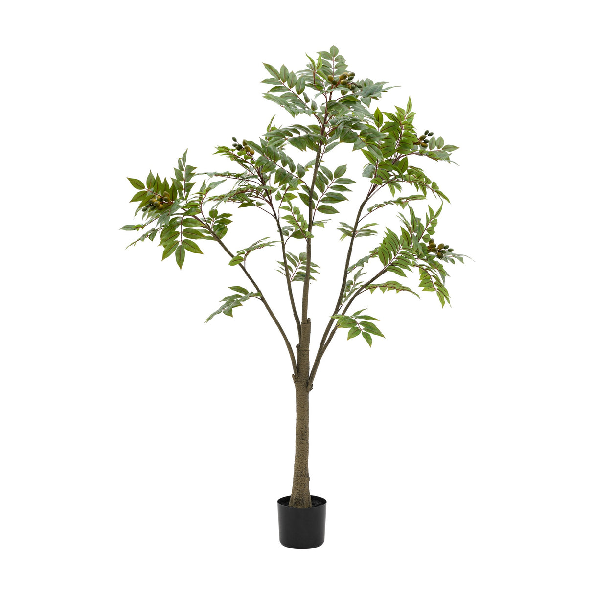 Artificial Chinese White Olive Tree