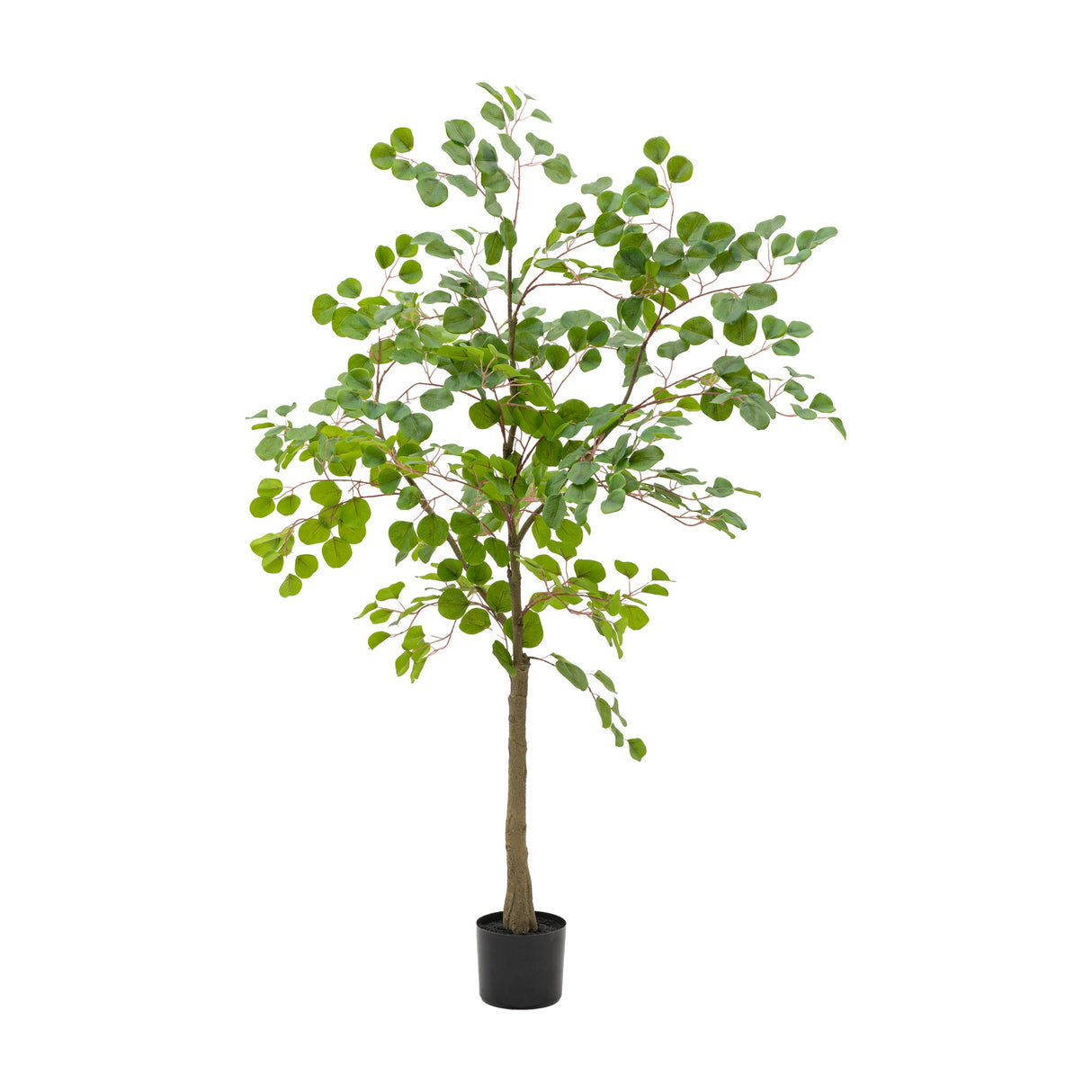 Artificial Eucalyptus Tree Potted – Green