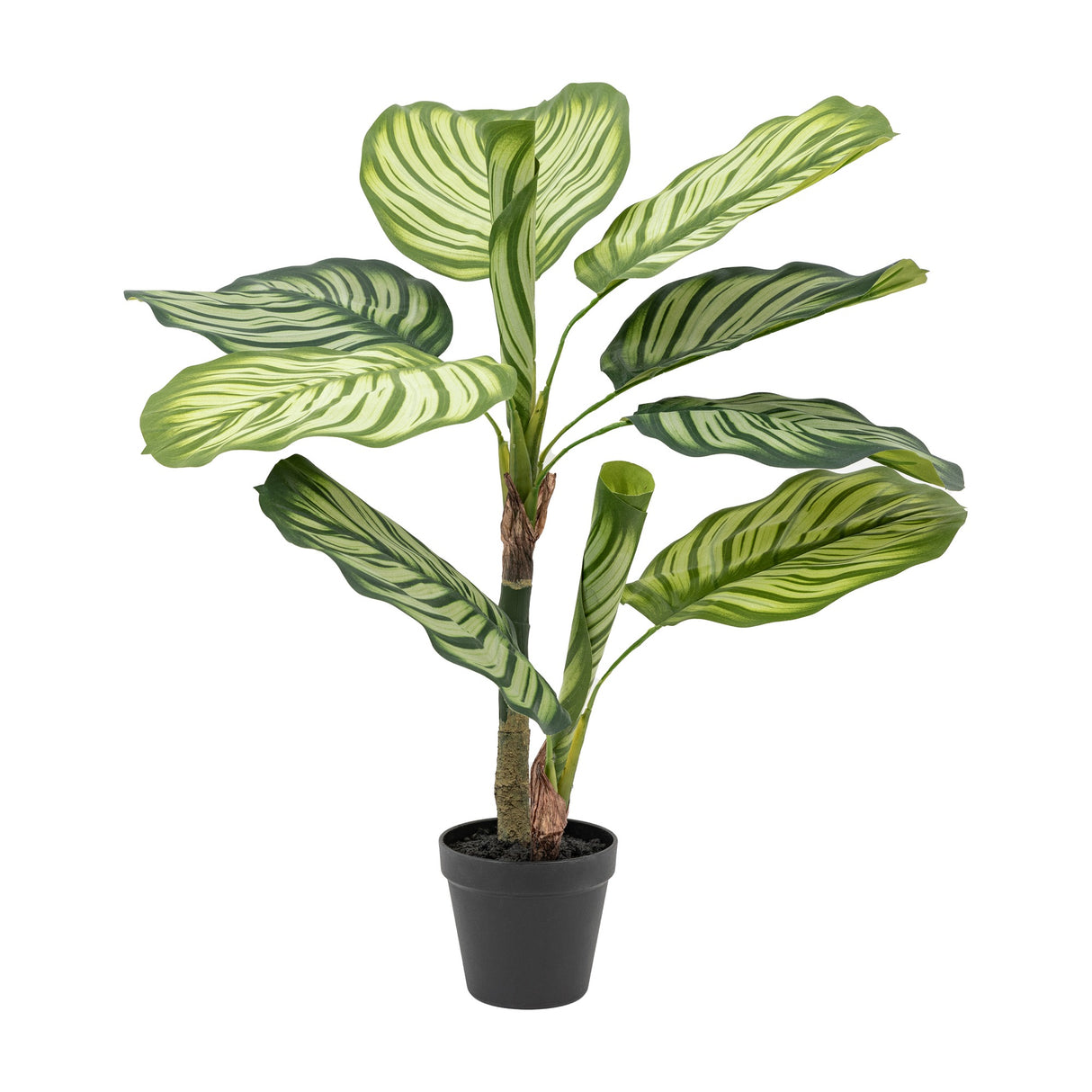 Artificial Calathea Leaf Tree