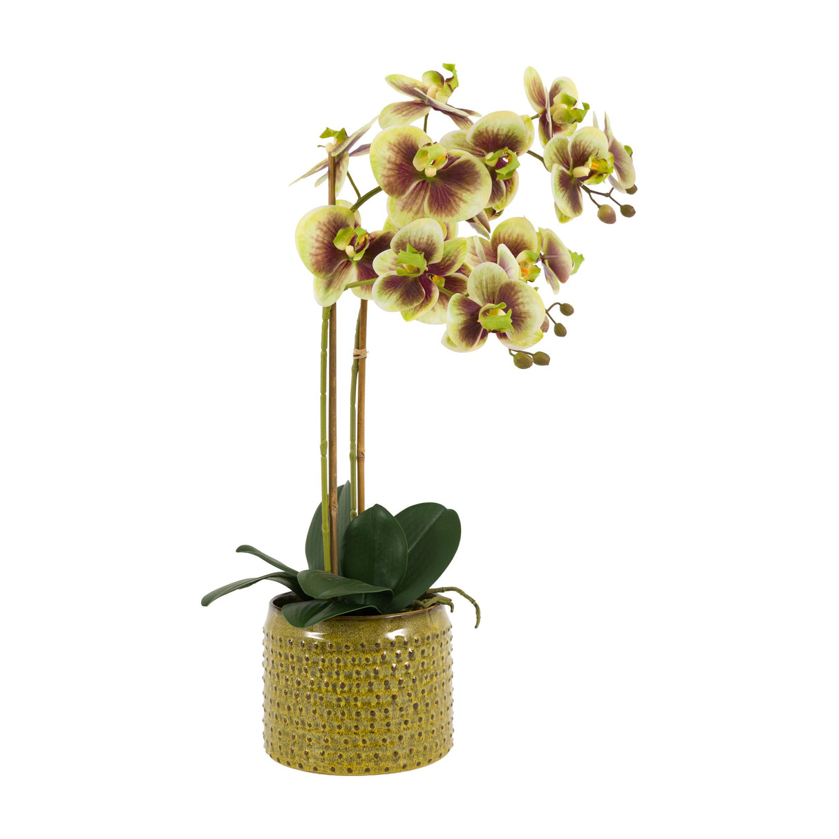 Artificial Orchid in Dotted Ceramic Pot