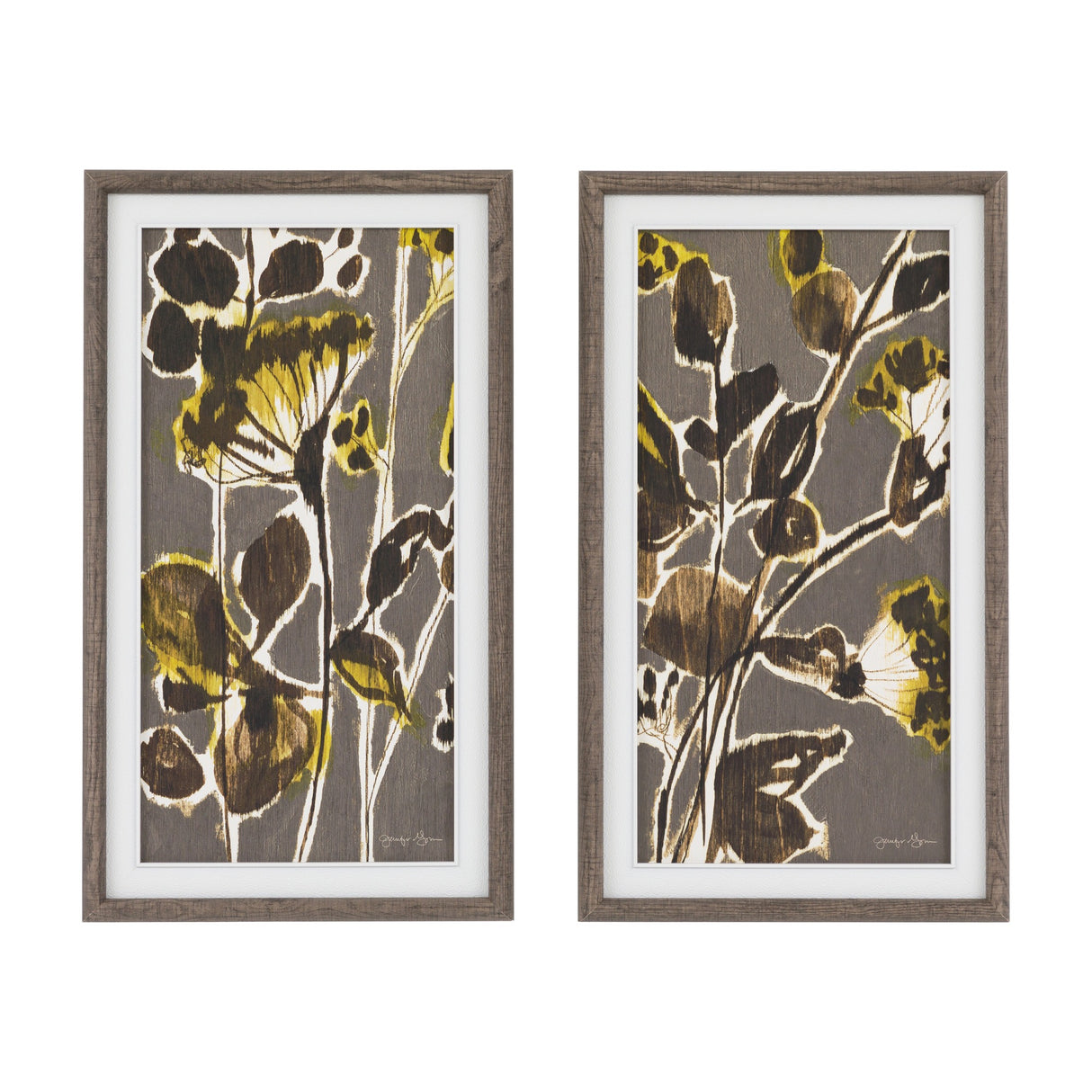 Revival Botanical Framed Wall Art Set of 2 – Brown