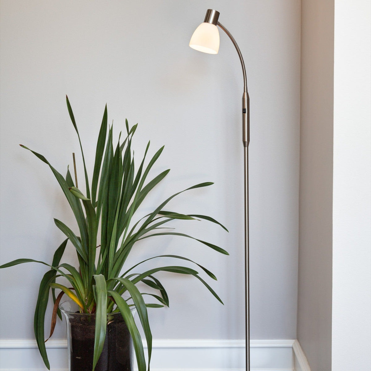Hudson Glass Floor Lamp in opal and steel, with a slim brushed steel column, flexible gooseneck, and opal glass shade, shown lit beside a potted plant in a living room.