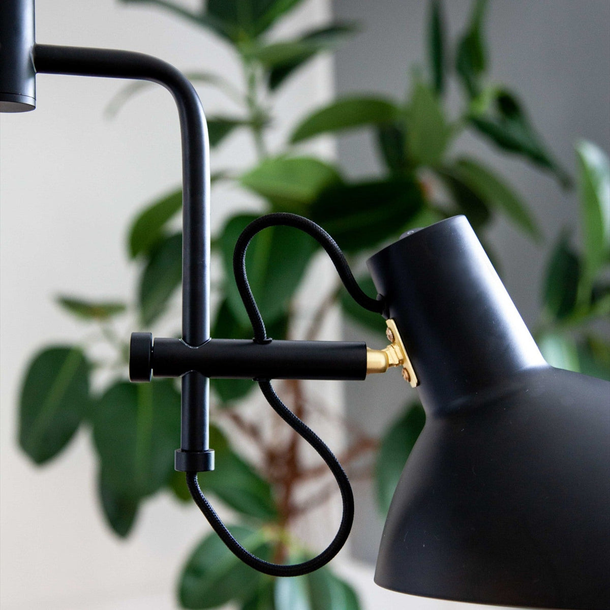 Close-up of the Metropole 3 Light Flush Ceiling Light in black, showing a matt black dome shade with brass fitting on an angled arm, set against a blurred indoor plant.