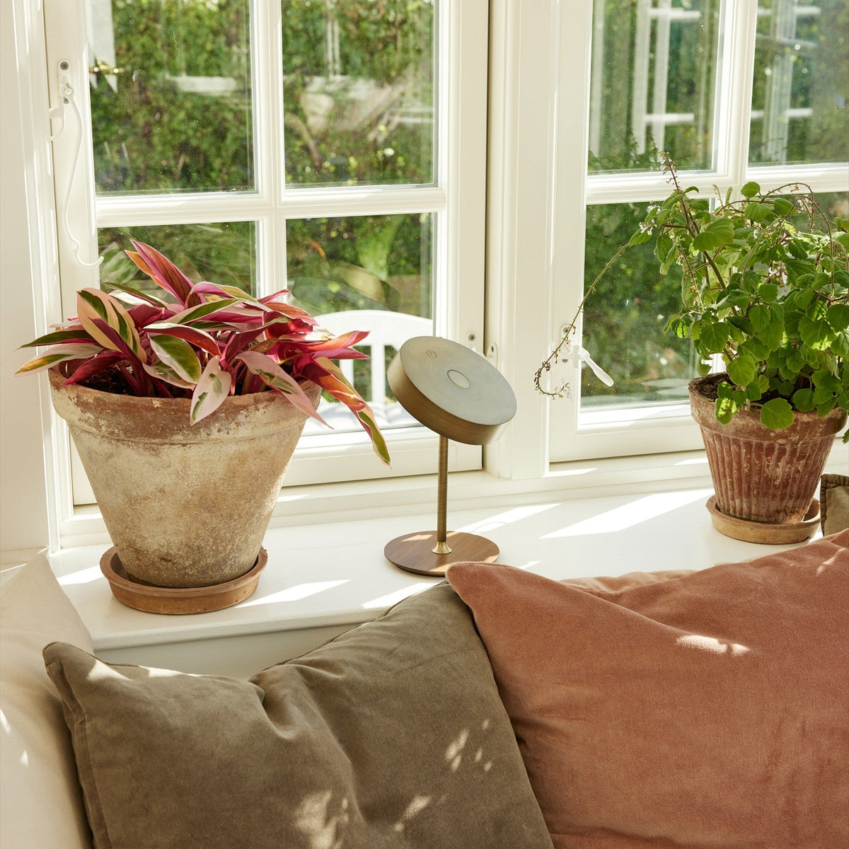 On the Move LED Rechargeable Table Lamp in antique brass with round drum shade on slim stem and walnut base, on a windowsill beside potted plants.