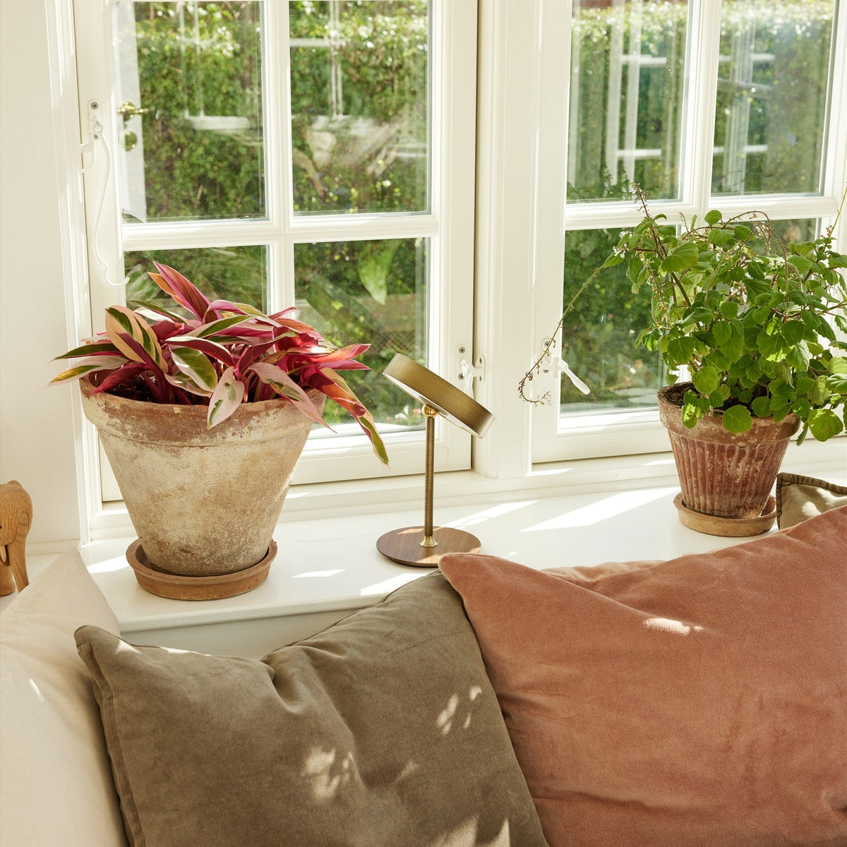 On the Move LED Rechargeable Table Lamp in antique brass with slim stem and walnut disc base, shown on a windowsill beside potted plants and velvet cushions.