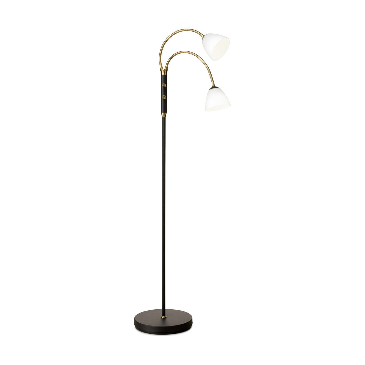 Lucid LED 2F Advent Floor Lamp with a slim black stem and round base, two curved antique brass goosenecks holding opal glass bell shades, shown on a plain white background.