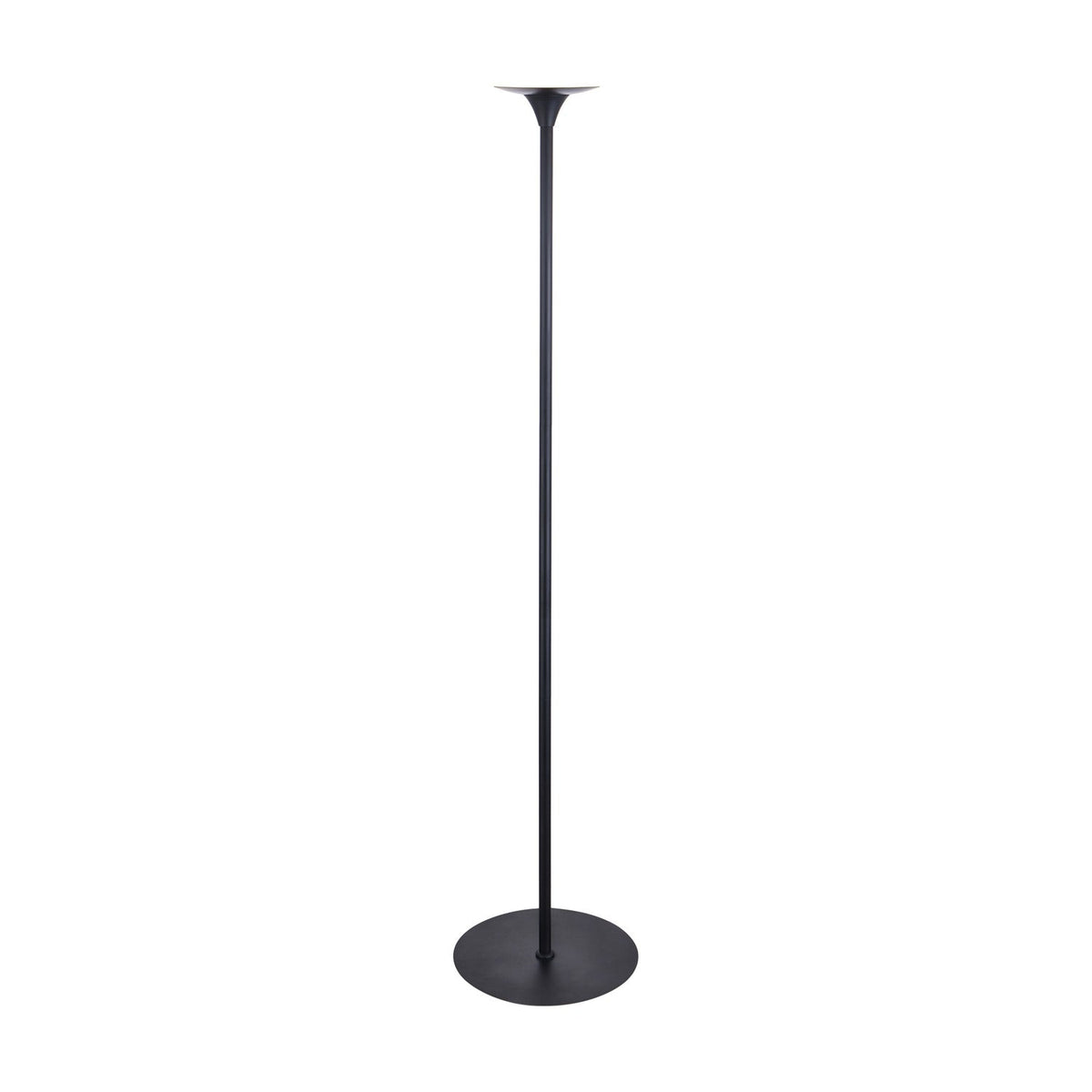 Baroni Glas floor lamp with a slim black stem, shallow inverted cone shade, and round flat black base on a plain white background.