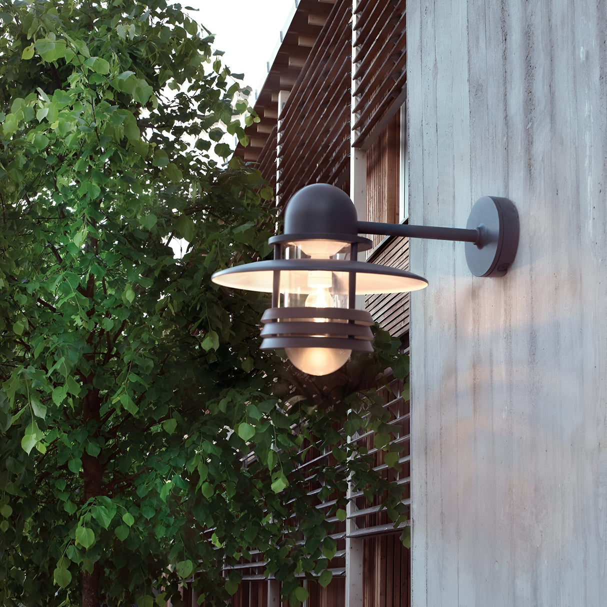 The sleek Helsinki Outdoor 1 Light Wall Light - Graphite, with its Scandinavian-inspired design, showcases a round frosted glass bulb encased in a metal frame mounted on a concrete wall. The presence of a lush green-leaved tree nearby enhances the modern aesthetic with a natural touch.