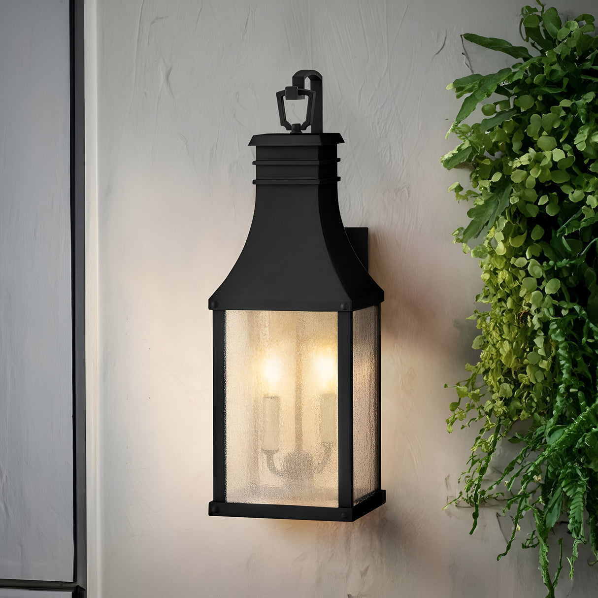 A Beacon Hill 2 Light Outdoor Medium Wall Lantern in black, featuring a frosted glass enclosure, casts a gentle glow on a white wall. Nearby, a lush green plant dangles elegantly, infusing the minimalist decor with a natural touch.
