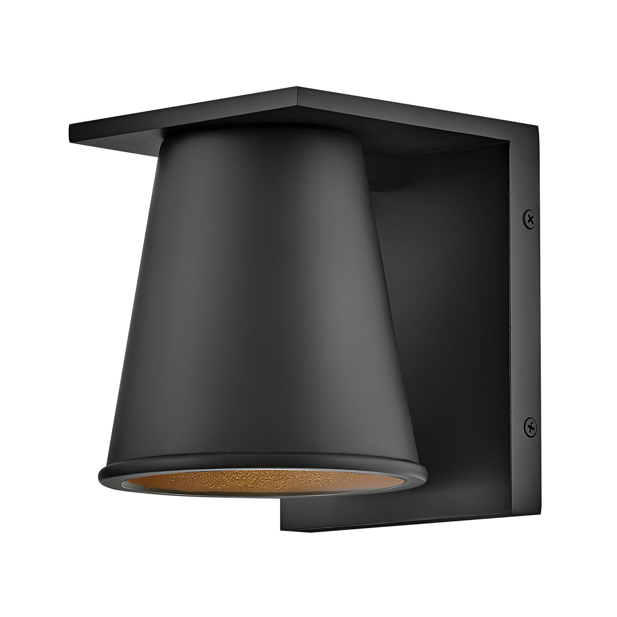 The Coastal 1 Light Small Outdoor Wall Lantern features a textured black finish, conical shade, and rectangular backplate. Designed for versatile indoor or outdoor use, it directs light downward to accentuate the shade’s detailed interior.