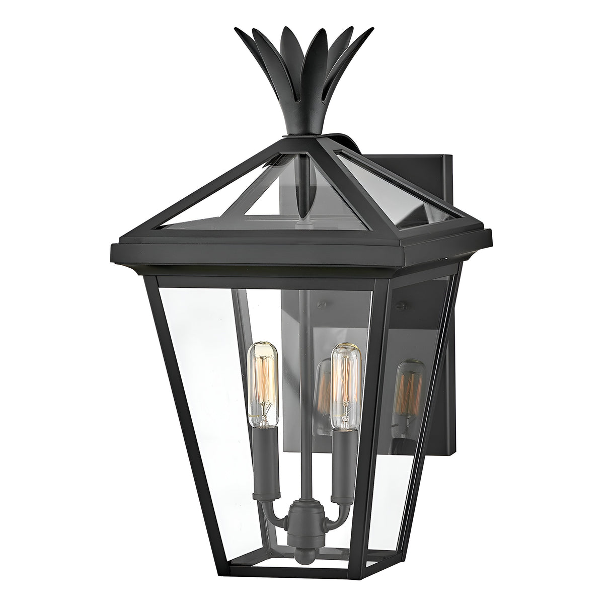 The Palma Outdoor 2 Light Medium Wall Lantern - Black is a stylish outdoor wall lantern with a glass enclosure that highlights two visible light bulbs. It is adorned with an elegant finial, combining sophistication and charm to create an inviting atmosphere.