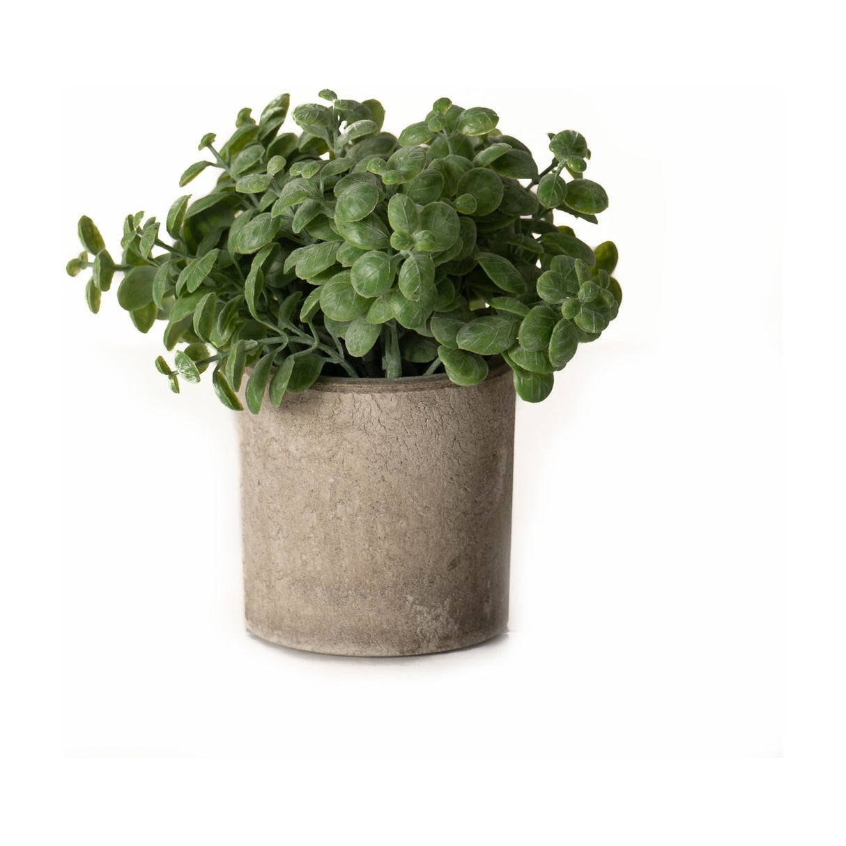 Faux Basil Plant in Stone Effect Pot – Green