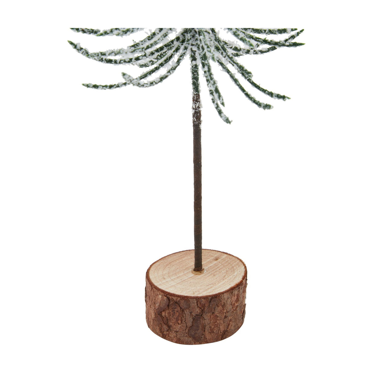 Hill Interiors Small Snowy Spindle Tree close-up showing the slim brown trunk and frosted green branches set into a natural bark-edged wood log base.
