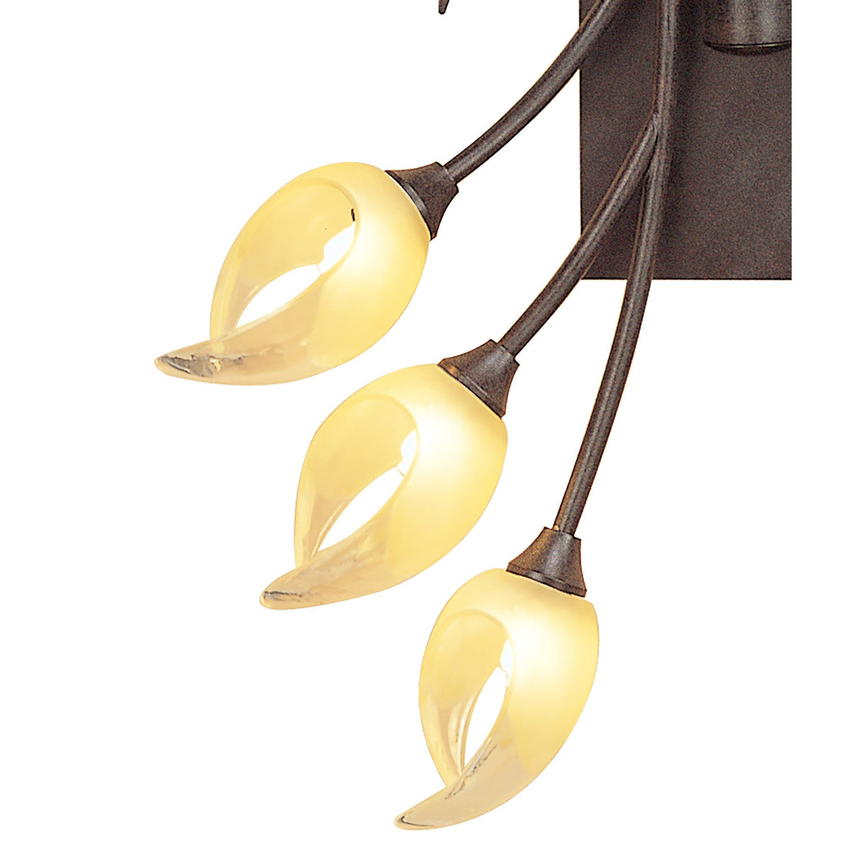 Holland 6 Light Ceiling/Wall Light With Switch - Brown/Black Oxide