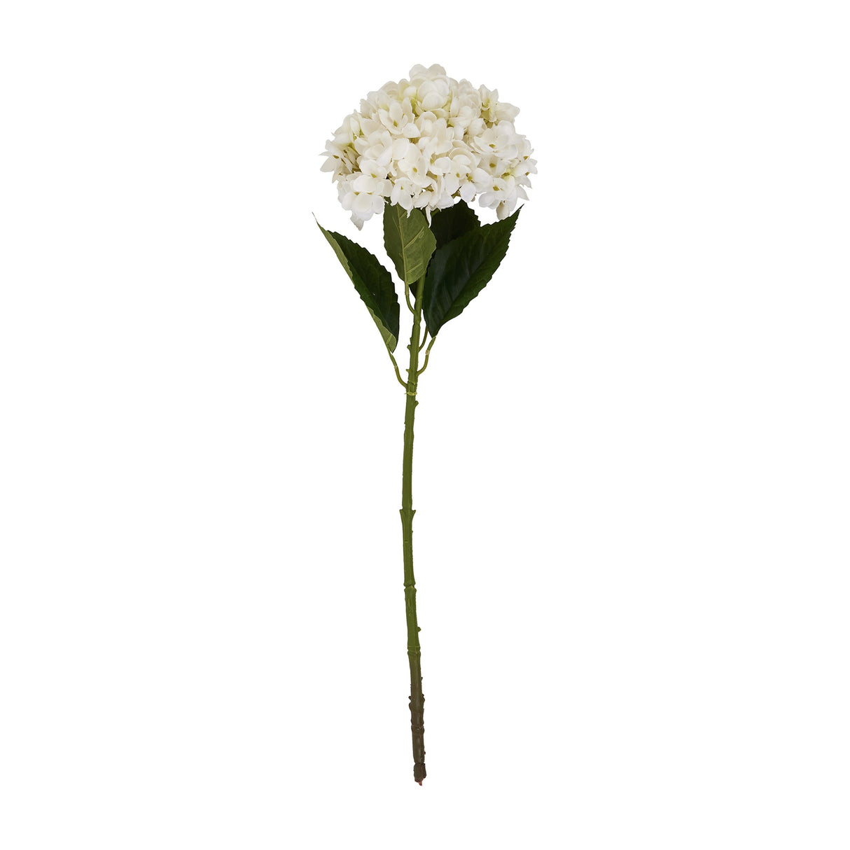 Hill Interiors White Hydrangea Stem, a 58cm faux flower with a rounded dome of small white florets and green leaves on a wired stem, on white.