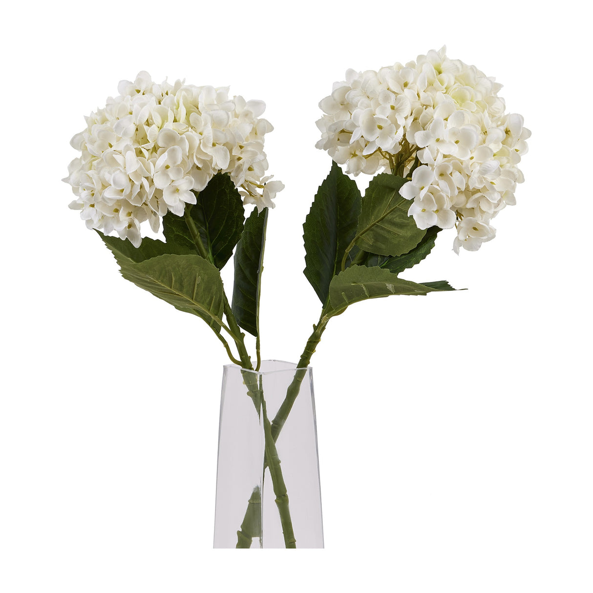 Hill Interiors White Hydrangea Stems displayed as a pair in a clear glass vase, showing rounded ivory floret heads and green leaves on wired stems.