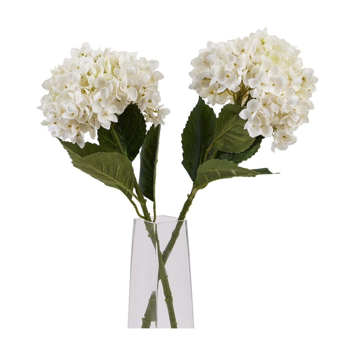 Hill Interiors White Hydrangea Stems, two faux blooms with rounded florets and green leaves arranged in a clear glass vase on a white background.