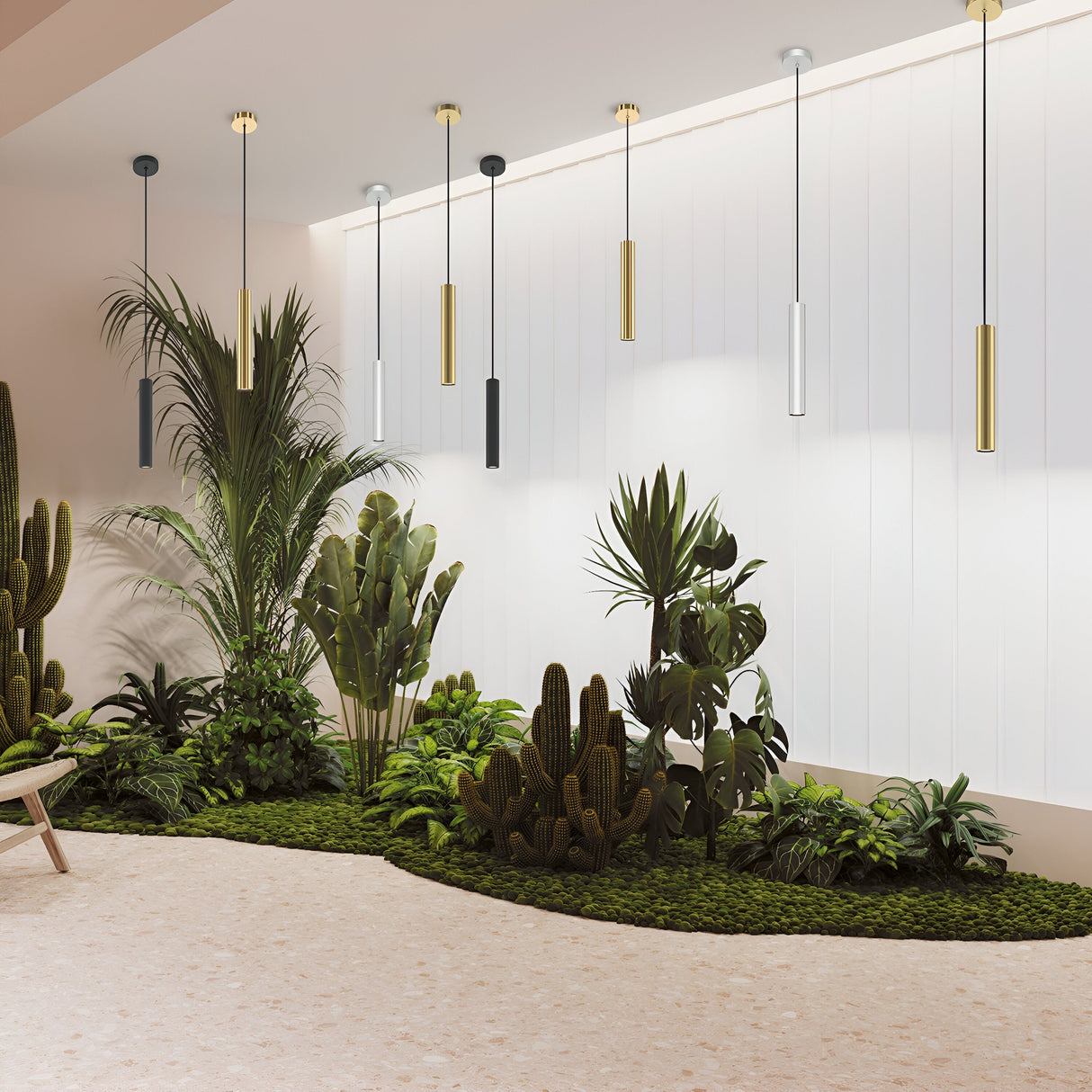 A modern interior showcases a minimalist garden with cacti and tropical plants against a white wall. Ambient lighting comes from Pro Focus Thin Pendant Light - Brass, while a light wooden bench is partially visible on the left.