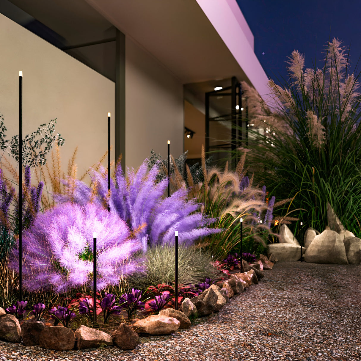 At dusk, a modern garden features vibrant purple and green grass, with rocks and Spear Outdoor Small Spike Lights in Graphite. With an IP65 rating, these 3000K lights cast a warm glow on the contemporary buildings glass doors and clean facade.
