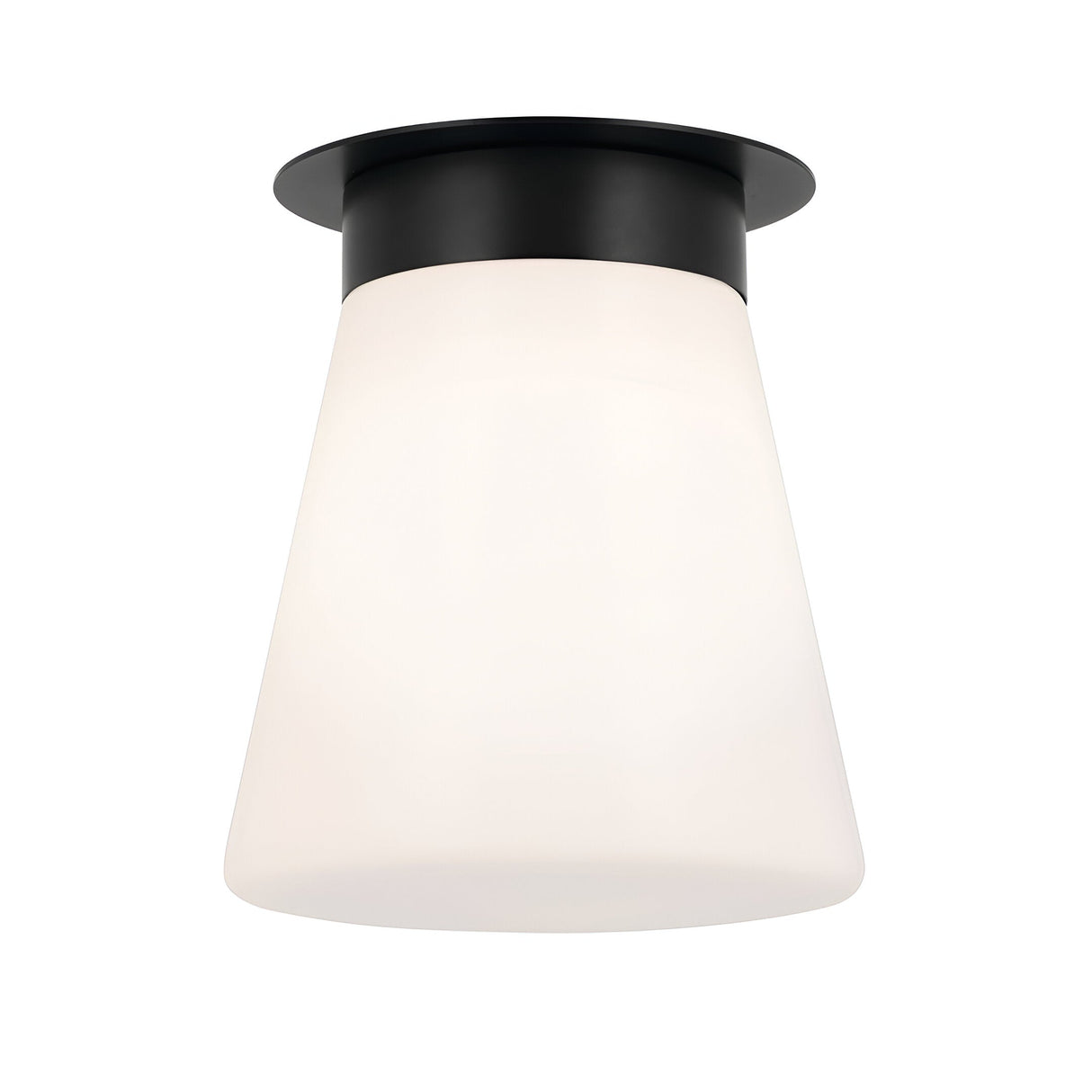 Albers 1 Light Opal Glass Flush Ceiling Light - Black