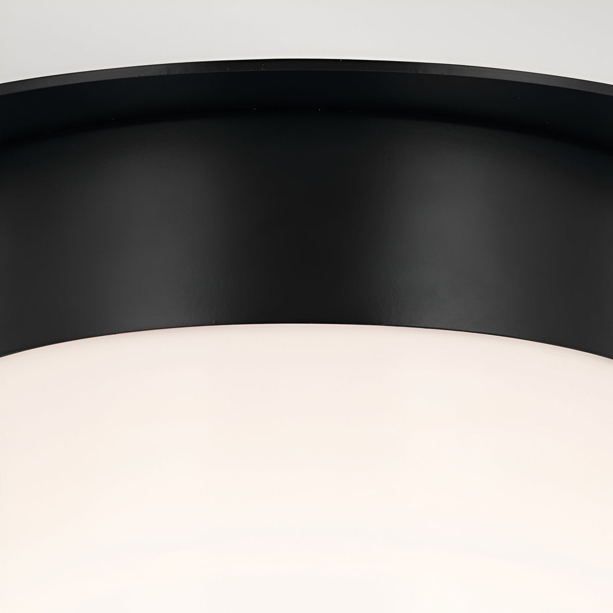 Albers 1 Light Opal Glass Flush Ceiling Light - Black