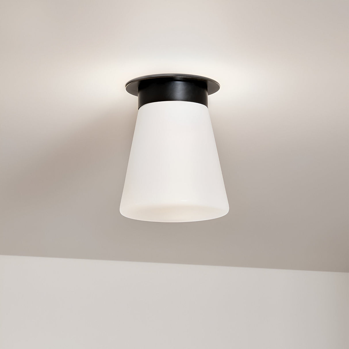 Albers 1 Light Opal Glass Flush Ceiling Light - Black