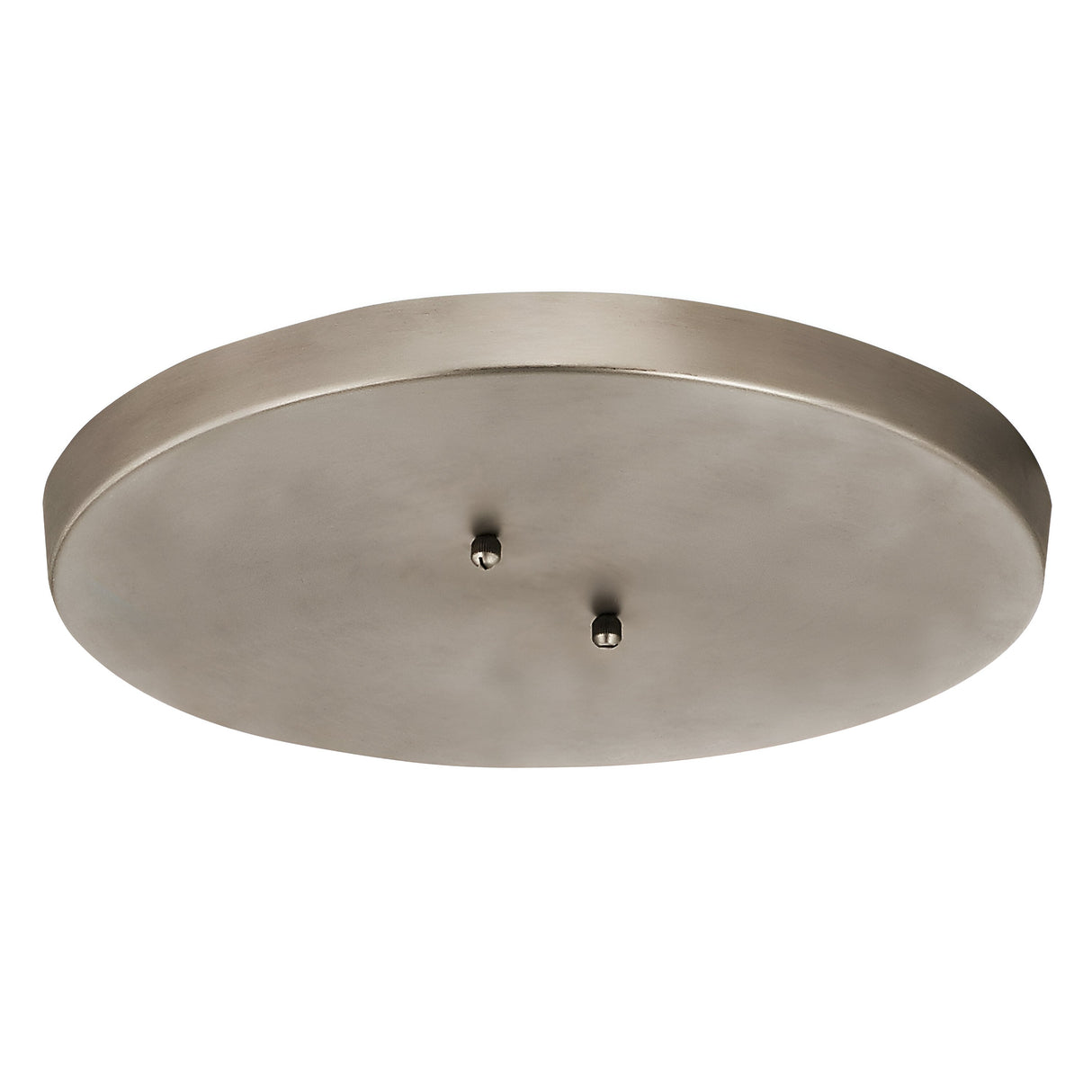 The Ceiling Pan Round Ceiling Plate - Silver boasts a brushed nickel finish and minimalist design, offering a versatile lighting solution with two small screws for easy mounting. Its smooth texture is emphasized when viewed from below, providing a sleek look ideal for modern interiors.