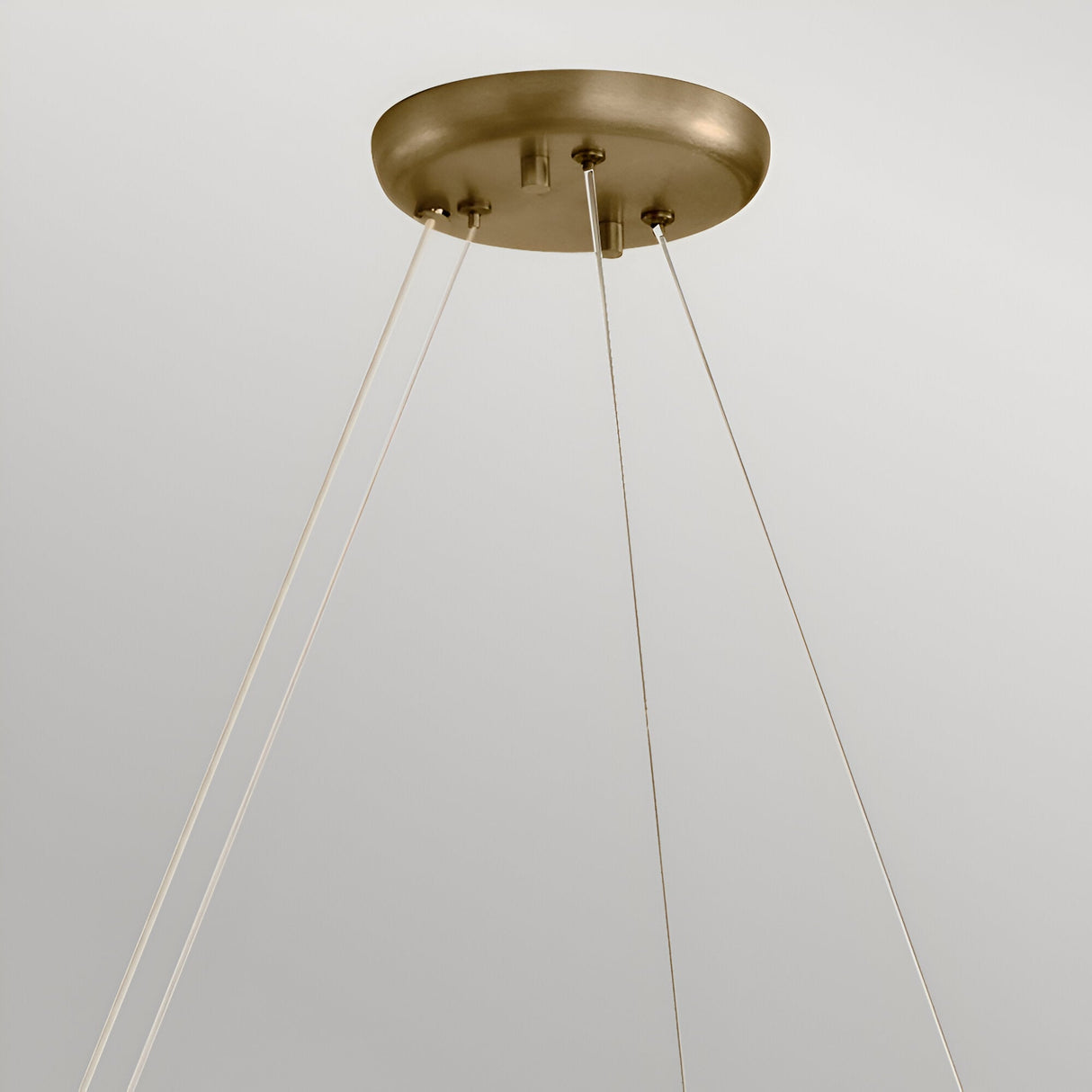 Palta 10 Light Circular Suspension - Satin Black