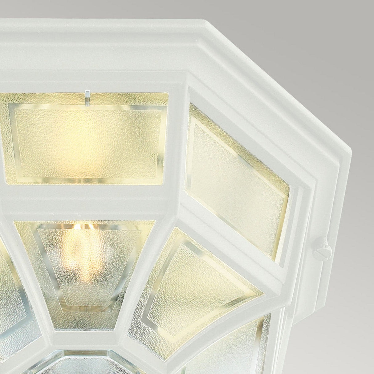 Close-up of the Latina Outdoor 1 Light Ceiling Light in a durable cast aluminum octagonal design with a frosted polycarbonate lens. The illuminated fixture reveals the bulb inside against a neutral gray background, adding elegance and resilience to any setting.