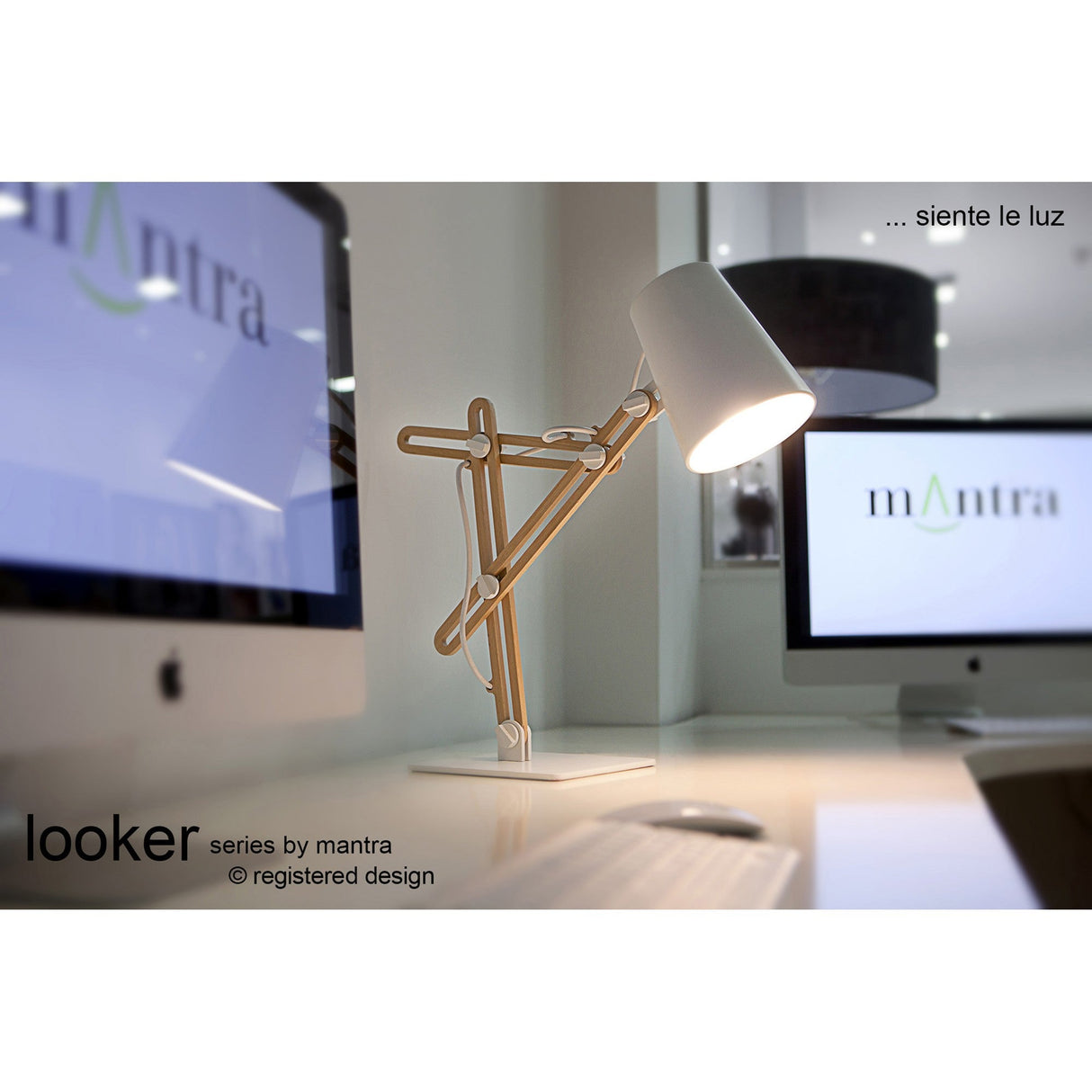 Looker 1 Light Table Lamp - Matt White/Beech