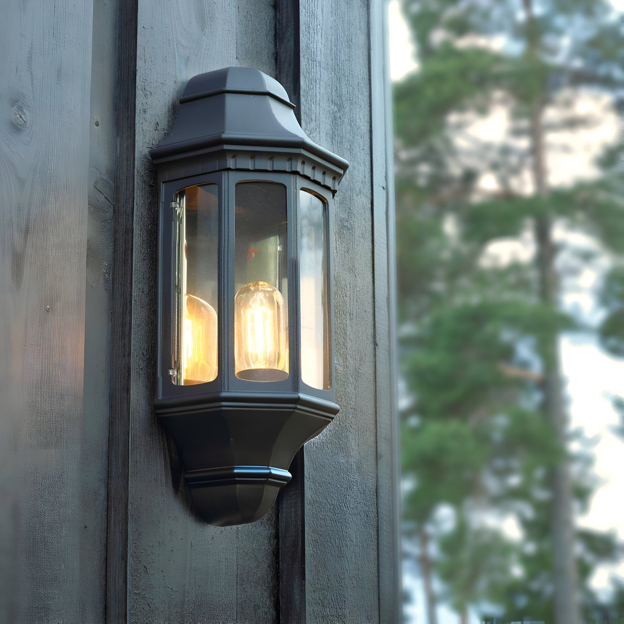 A Malaga Outdoor 1 Light Wall Lantern in a black finish, designed with a vintage style and warm glowing bulbs, is mounted on a wooden wall. The tall trees in the blurred background suggest an outdoor setting during evening or dusk. With its IP54 rating, this fixture adds elegance to any exterior space.