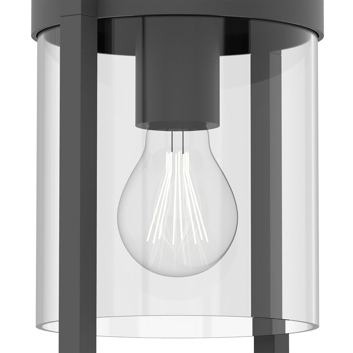 Maya 1 Light Large Outdoor Wall Light - Anthracite