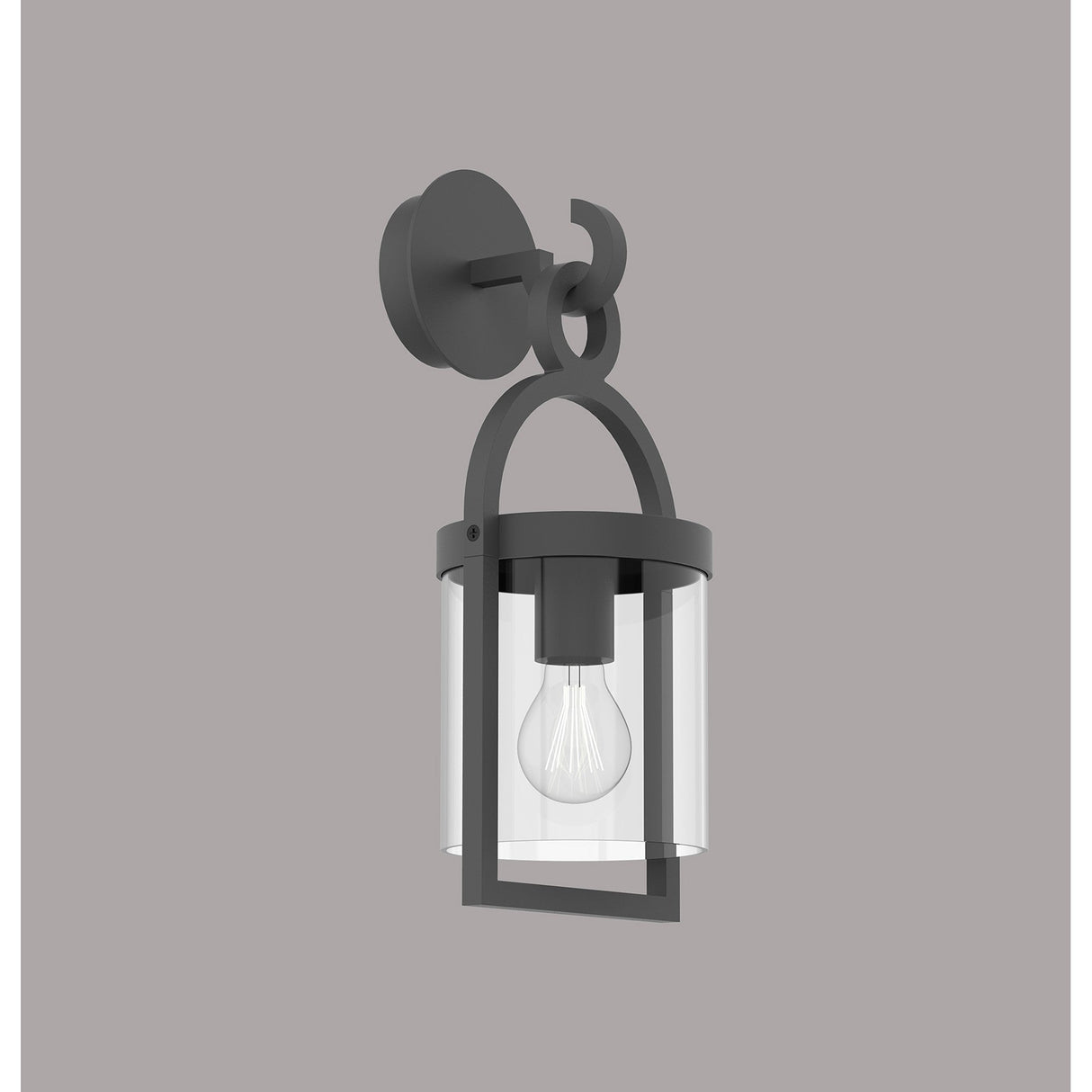 Maya 1 Light Large Outdoor Wall Light - Anthracite