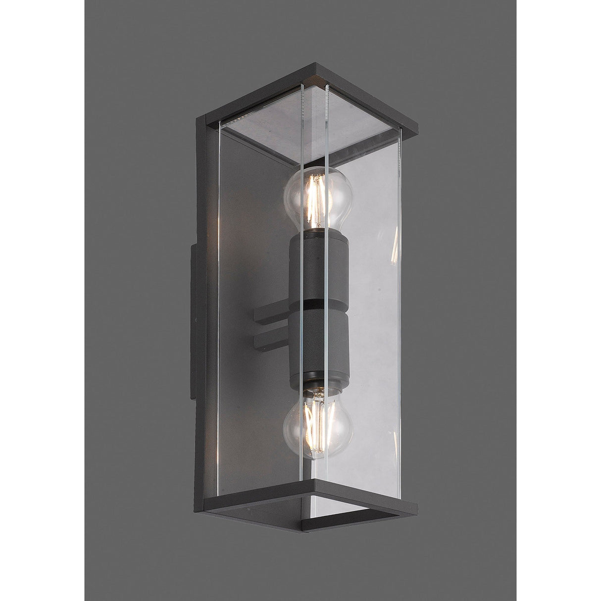 Maya 1 Light Outdoor Wall Light - Anthracite