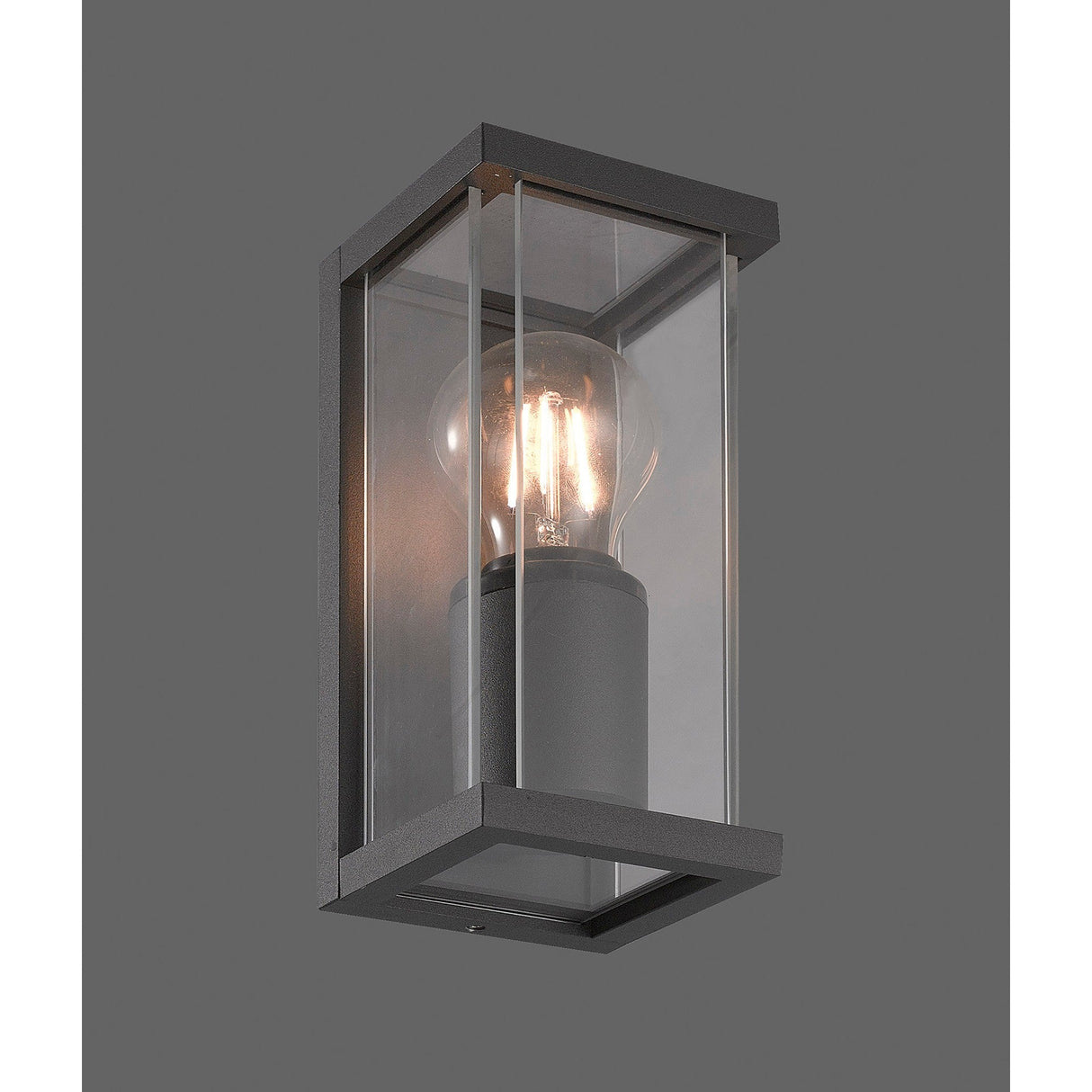 Meribel 1 Light Outdoor Wall Light - Graphite