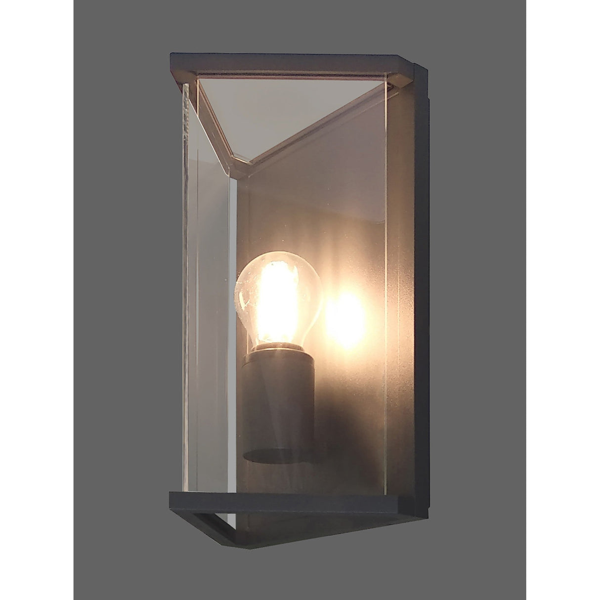 Meribel 1 Light Large Outdoor Wall Lamp - Graphite