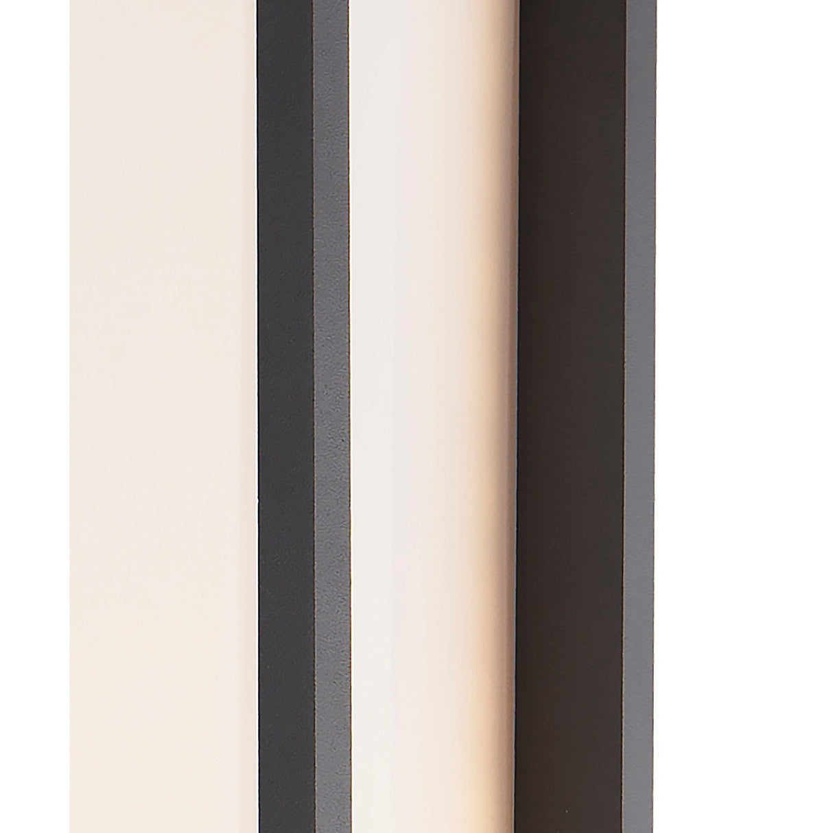 Meribel Camera WiFi CCT Outdoor LED Wall Light - Graphite