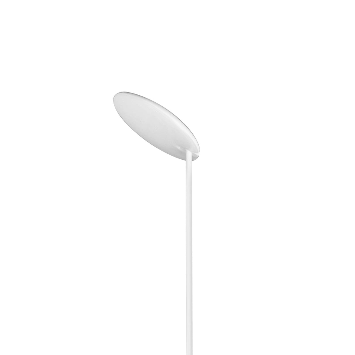 The Nassau Dimmable LED Floor Lamp 30W 3000K features a sleek white design with a flat, oval-shaped shade and slim stand, creating a modern minimalist look against a plain white background.