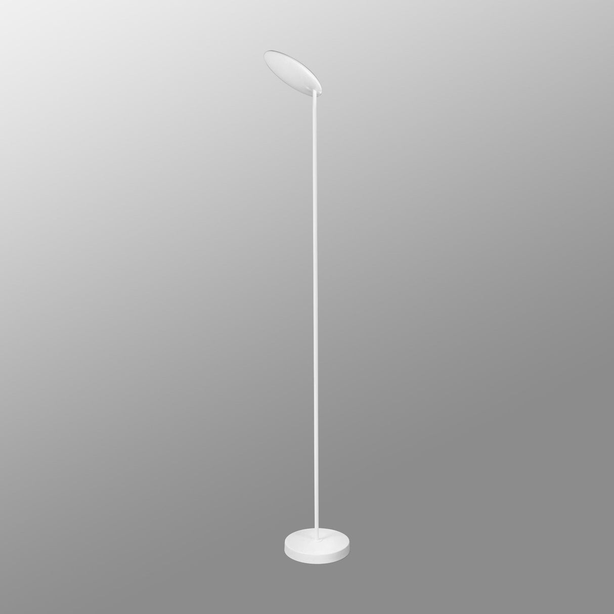 The Nassau Dimmable LED Floor Lamp 30W 3000K in white features a minimalistic contemporary design with a round base, slender tall pole, and circular lamp head, shown against a simple gradient gray background.