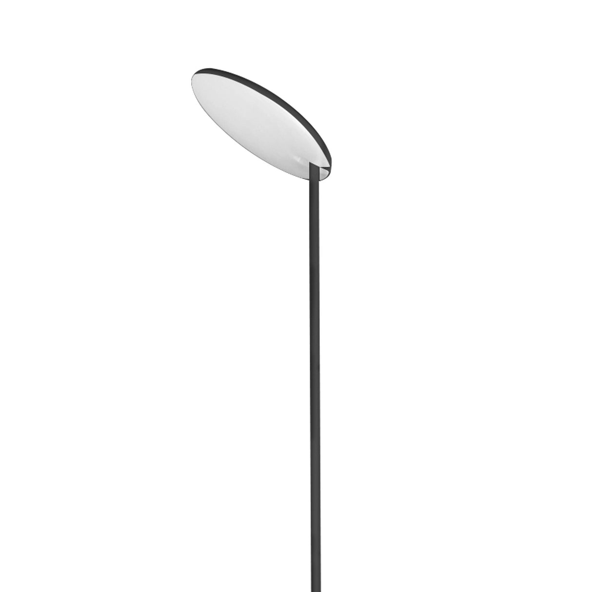 The Nassau Dimmable LED Floor Lamp 30W 3000K - Black features a minimalist black stand with a flat, round white shade angled upward. Sleek and modern, this LED lamp offers adjustable lighting against a plain white background.