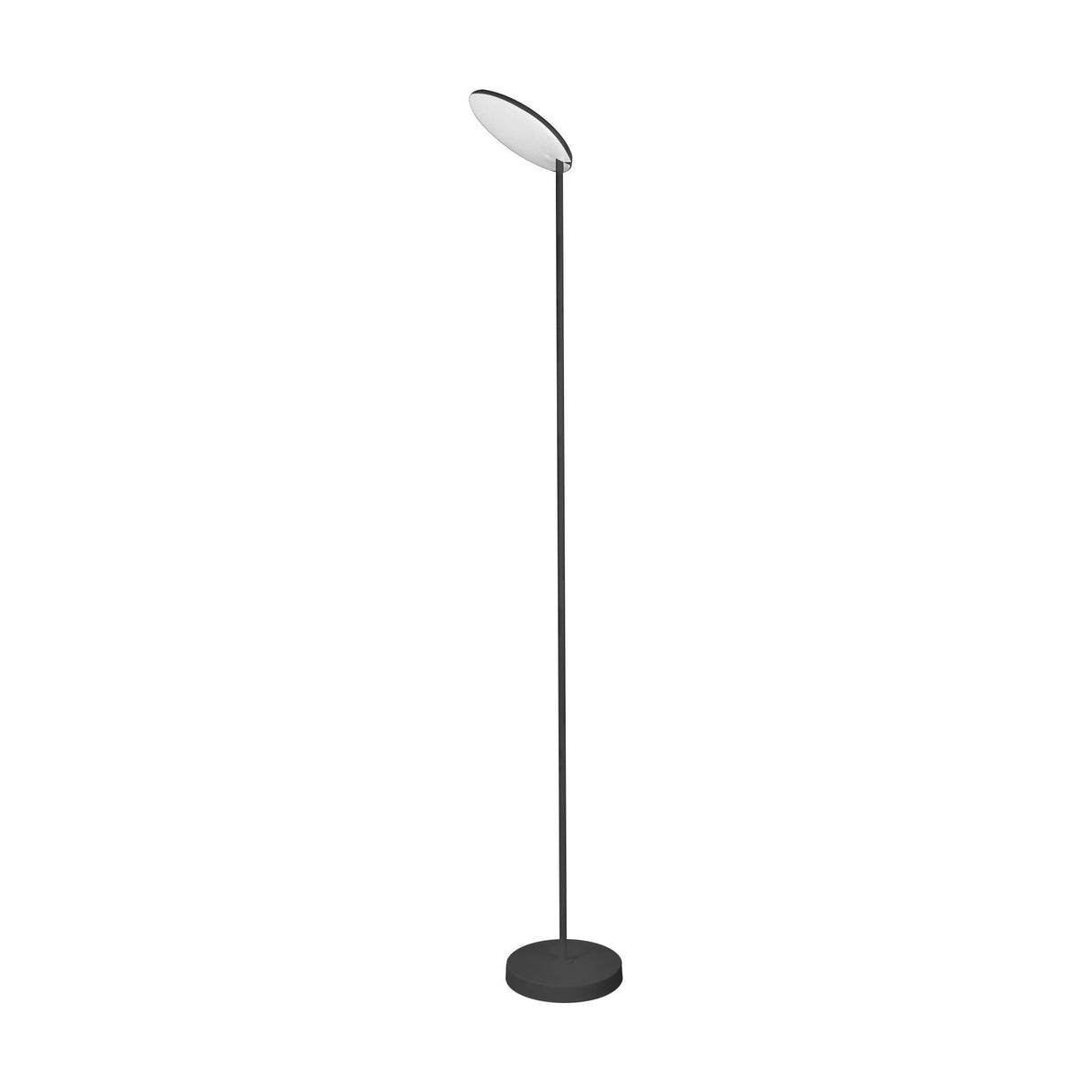 The Nassau Dimmable LED Floor Lamp 30W 3000K - Black features a sleek, slim black pole with a round base and an angled circular lampshade, offering modern style with adjustable brightness.