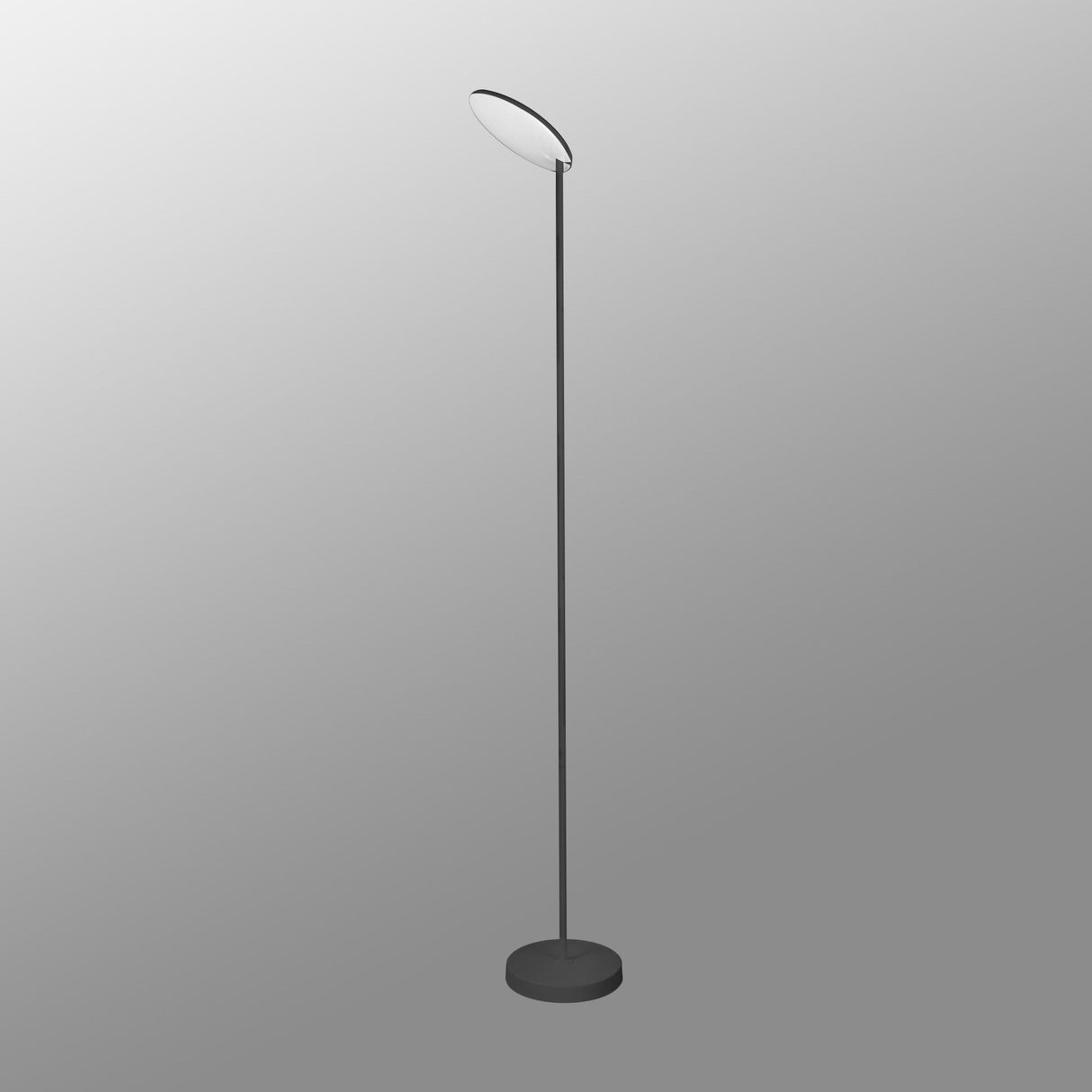 The Nassau Dimmable LED Floor Lamp 30W 3000K in black features a minimalist design with a thin stand, round base, and circular upward-facing dimmable LED light, displayed against a neutral gray background.