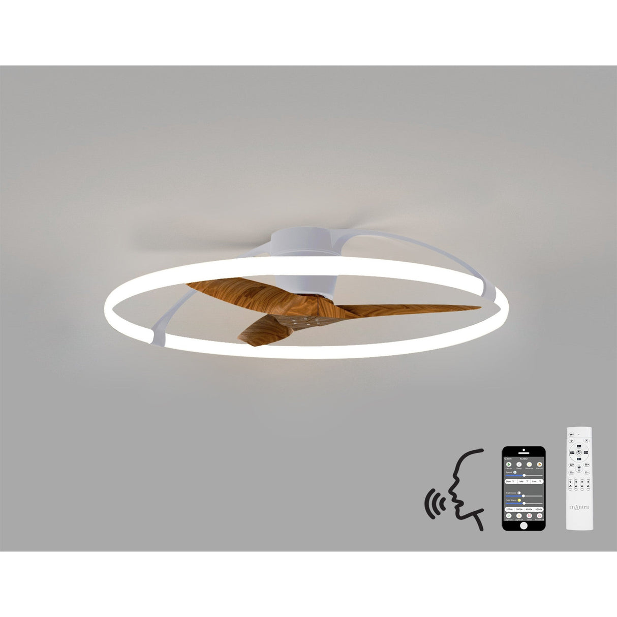 Nepal CCT Dimmable LED Ceiling Retractable Fan Light With Remote, APP & Voice Control - Silver/Brown