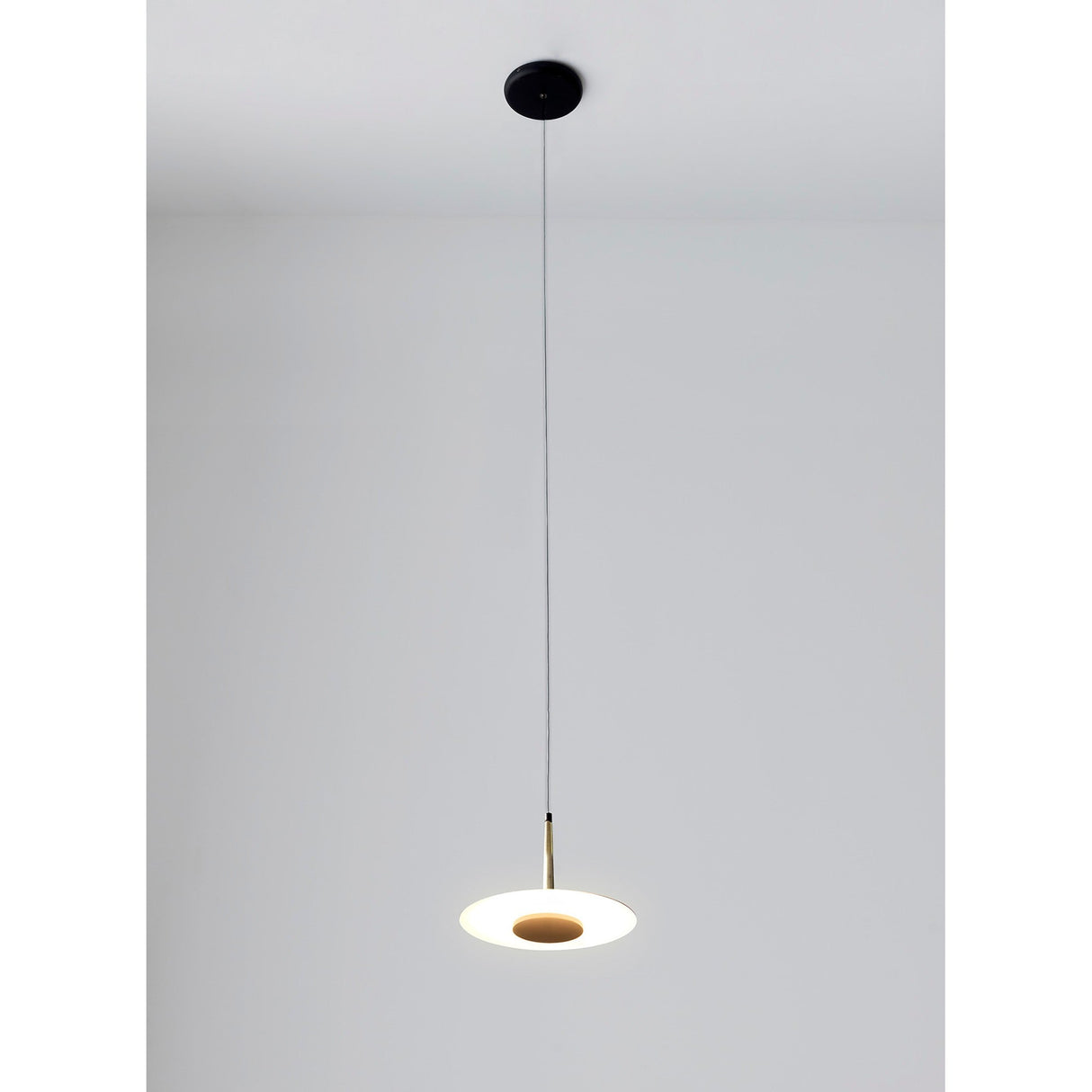 Orion 25cm 1 Light LED Pendant Light 8W 3000K - Black & Antique Brass